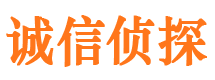 师宗侦探